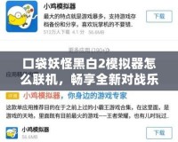 口袋妖怪黑白2模擬器怎么聯(lián)機(jī)，暢享全新對(duì)戰(zhàn)樂趣！