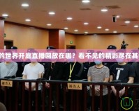 我的世界開庭直播回放在哪？看不見的精彩盡在其中！