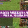 熱血江湖免費寶寶掛怎么用？詳細攻略，輕松提升游戲體驗