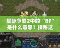 星際爭霸2中的“BF”是什么意思？探秘這個詞匯背后的深層含義