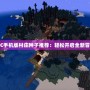 網易MC手機版村莊種子推薦：輕松開啟全新冒險之旅