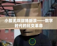 小智無雙微博新浪——數字時代的社交革命