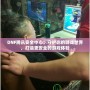 DNF騰訊安全中心：守護你的游戲世界，打造更安全的游戲體驗