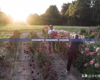 夢幻農場官網下載：開啟你的田園夢想，盡享豐收樂趣