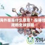 問道海外版是什么意思？探秘經典游戲的全球旅程