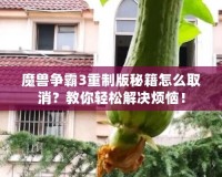 魔獸爭霸3重制版秘籍怎么取消？教你輕松解決煩惱！