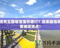 洛克王國萌寶寶在哪打？探索最強(qiáng)萌寵捕捉地點(diǎn)！