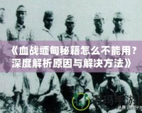 《血戰緬甸秘籍怎么不能用？深度解析原因與解決方法》