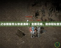 龍之谷新服怎么快速滿級：全面攻略，助你輕松登頂！