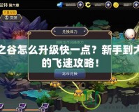 龍之谷怎么升級(jí)快一點(diǎn)？新手到大佬的飛速攻略！
