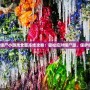 植物大戰僵尸小游戲全面凍結攻略：輕松應對僵尸潮，保護你的花園！