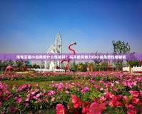 洛克王國小獨角獸什么性格好？揭開最具魅力的小獨角獸性格秘密