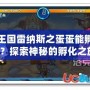 洛克王國雷納斯之蛋蛋能孵出什么？探索神秘的孵化之旅！