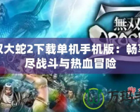 無雙大蛇2下載單機手機版：暢享無盡戰斗與熱血冒險