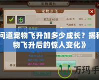 《問道寵物飛升加多少成長？揭秘寵物飛升后的驚人變化》