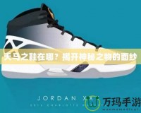 天馬之鞋在哪？揭開神秘之物的面紗