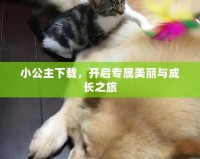 小公主下載，開啟專屬美麗與成長之旅
