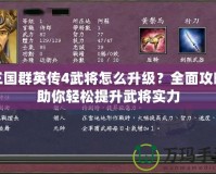 三國群英傳4武將怎么升級？全面攻略助你輕松提升武將實力