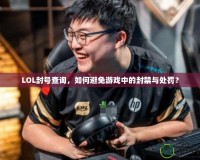 LOL封號(hào)查詢，如何避免游戲中的封禁與處罰？