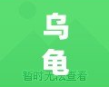 烏龜藥引：傳統智慧與現代健康的完美結合