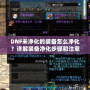 DNF未凈化的裝備怎么凈化？詳解裝備凈化步驟和注意事項