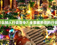 傳奇怎么加入行會命令？全面解析你的行會之路！