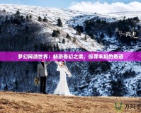 夢(mèng)幻網(wǎng)游世界：暢游奇幻之境，探尋未知的奇跡