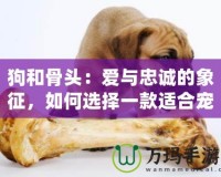 狗和骨頭：愛(ài)與忠誠(chéng)的象征，如何選擇一款適合寵物的骨頭？