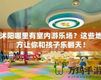 沭陽哪里有室內游樂場？這些地方讓你和孩子樂翻天！