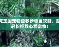 洛克王國寵物營救步驟全攻略，助你輕松拯救心愛寵物！