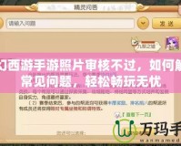 夢幻西游手游照片審核不過，如何解決常見問題，輕松暢玩無憂