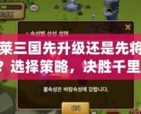 胡萊三國先升級還是先將星？選擇策略，決勝千里！