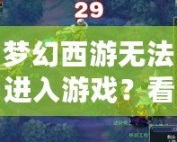 夢幻西游無法進入游戲？看這里，解決方案一網打盡！