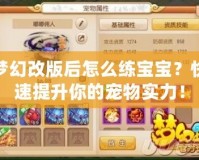 夢幻改版后怎么練寶寶？快速提升你的寵物實力！