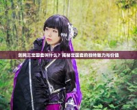 劍網三定國套叫什么？揭秘定國套的獨特魅力與價值
