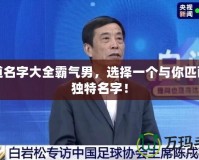 問道名字大全霸氣男，選擇一個與你匹配的獨特名字！