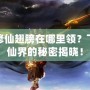 夢幻修仙翅膀在哪里領？飛翔于仙界的秘密揭曉！