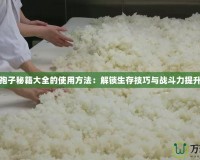 孢子秘籍大全的使用方法：解鎖生存技巧與戰斗力提升