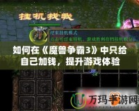 如何在《魔獸爭霸3》中只給自己加錢，提升游戲體驗