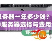 CF服務器一年多少錢？解密各種服務器選擇與費用分析