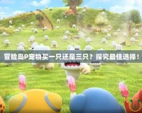 冒險島P寵物買一只還是三只？探究最佳選擇！
