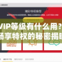 暢游VIP等級有什么用？讓你暢享特權的秘密揭曉