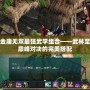 新金庸無雙最強武學組合——武林至尊巔峰對決的完美搭配