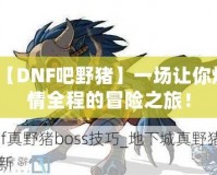 【DNF吧野豬】一場讓你燃情全程的冒險之旅！