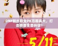 DNF新出職業PK范圍真大，打擊感受全面升級！
