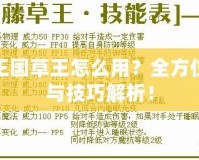 洛克王國草王怎么用？全方位攻略與技巧解析！