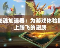 龍魂加速器：為游戲體驗插上騰飛的翅膀