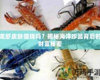 龍蝦皮膚值錢嗎？揭秘海洋珍品背后的財富秘密
