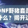 DNF野豬套是什么？揭開這套裝備的神秘面紗，助你征戰地下城！