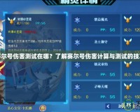 賽爾號(hào)傷害測(cè)試在哪？了解賽爾號(hào)傷害計(jì)算與測(cè)試的技巧